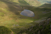View this image larger